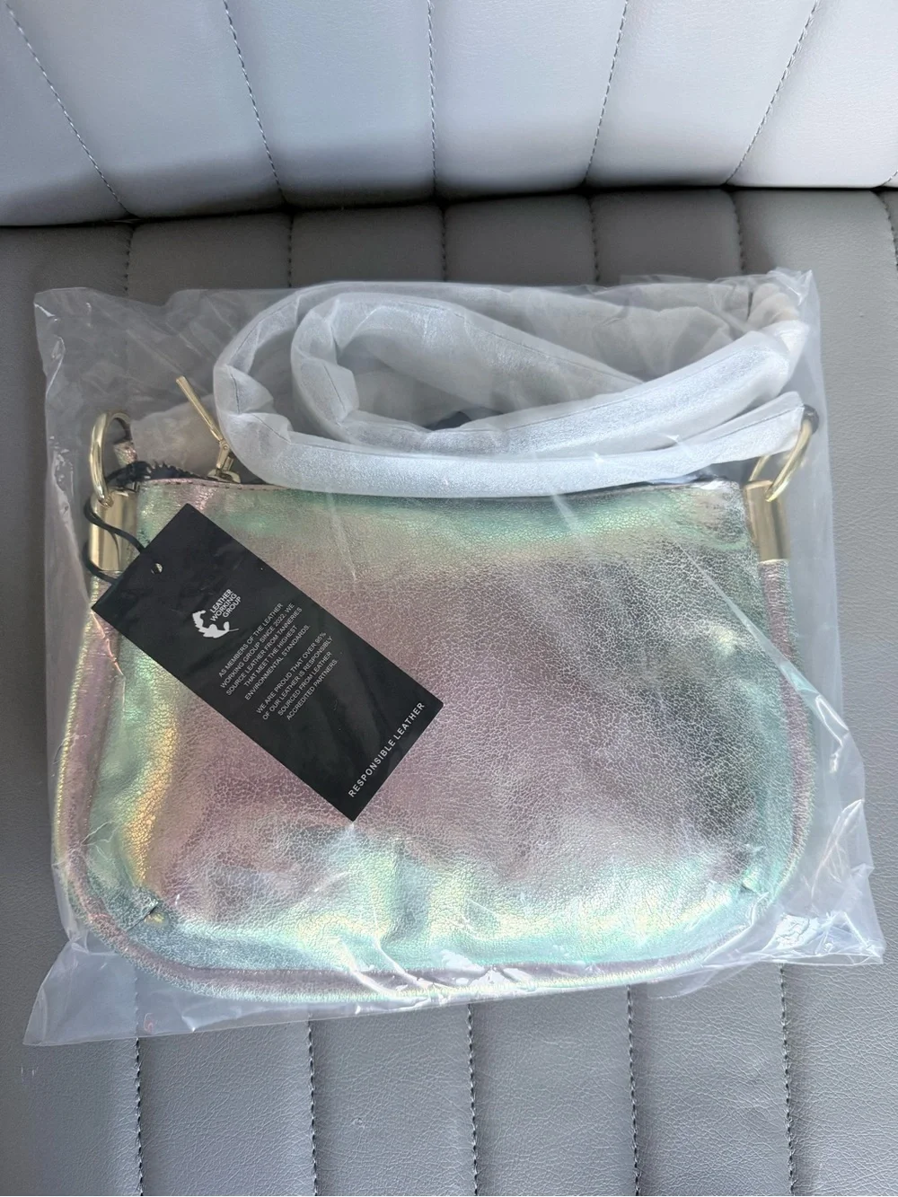 Aimee Kestenberg Iridescent Leather Crossbody with Gold Hardware Party Bag